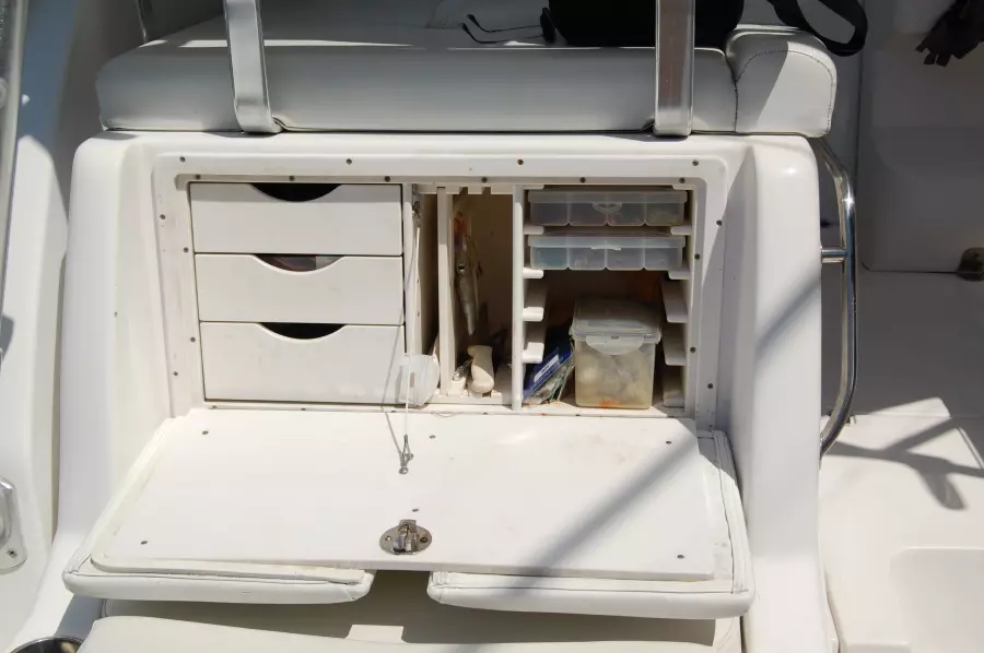 2006 Pro-Line 35 Express