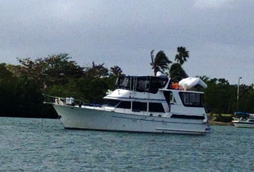 1988 Sea Ranger "46" Sundeck