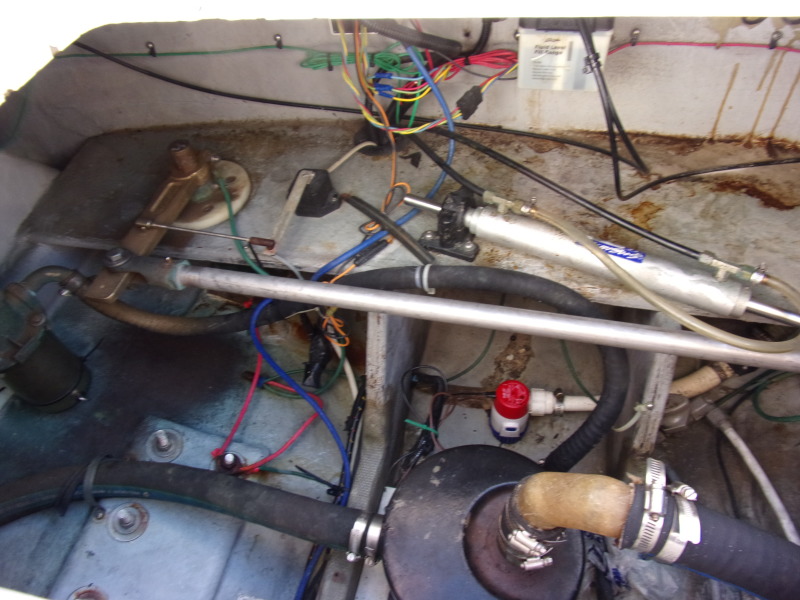 1993 Luhrs Open