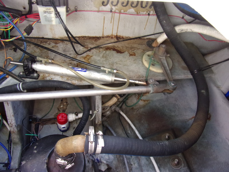 1993 Luhrs Open