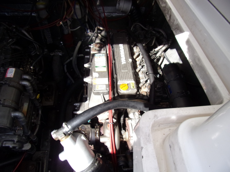 1993 Luhrs Open