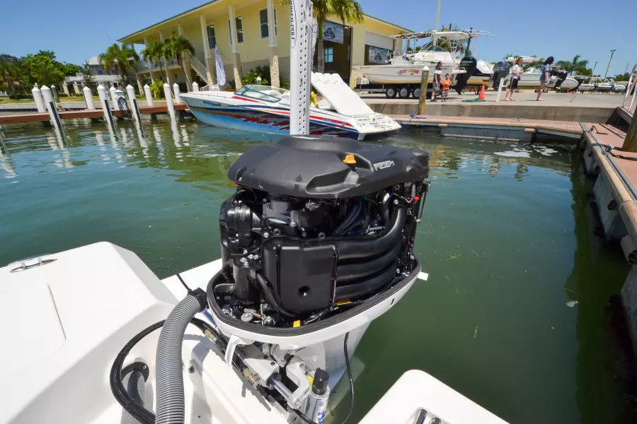 2017 Everglades 243 cc