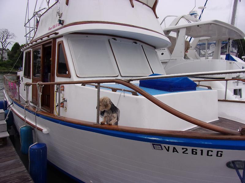 1987 Marine Trader