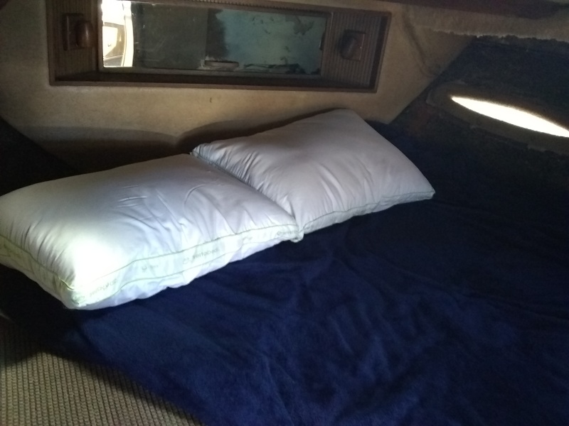 1983 Sea Ray 390 Sportfish