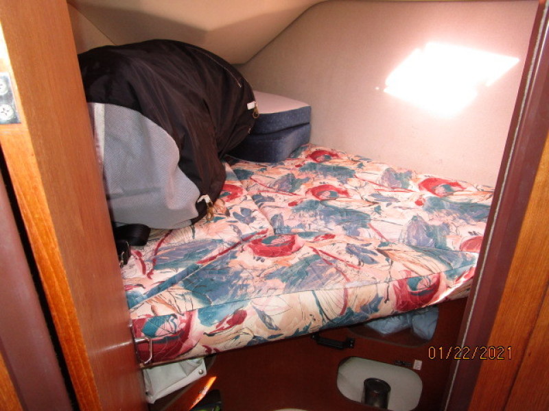 37' Hunter Guest Stateroom