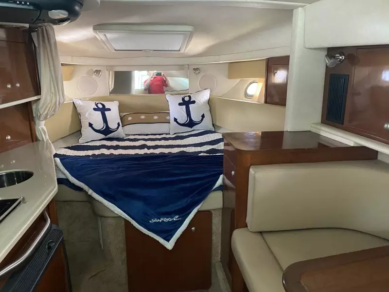 2008 Sea Ray 290 Amberjack