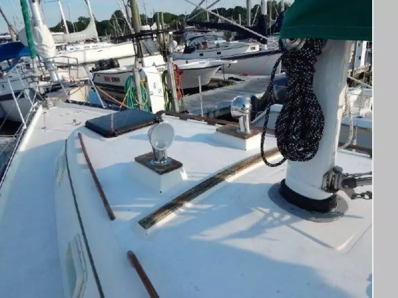 1979 Hunter Cherubini