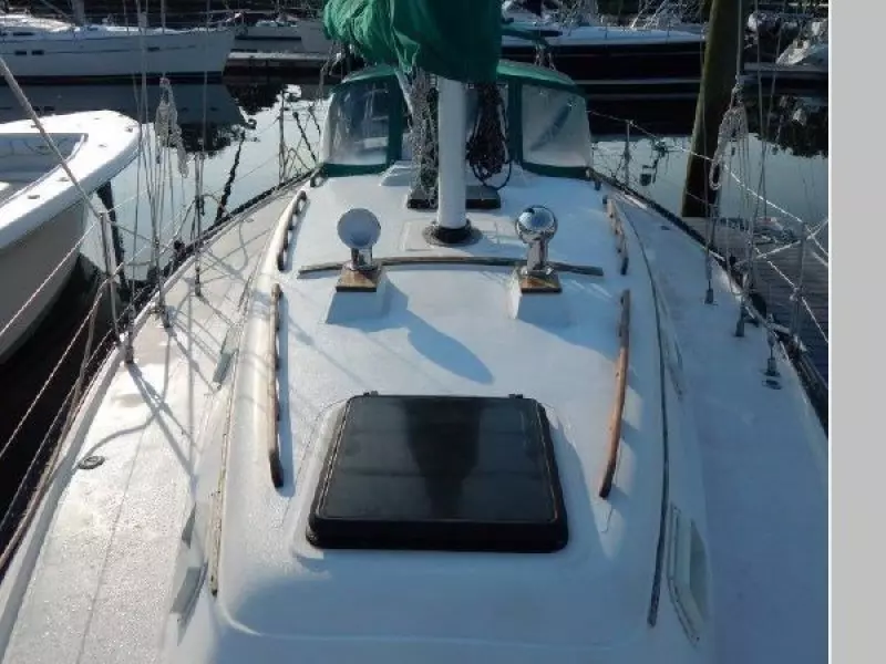 1979 Hunter Cherubini