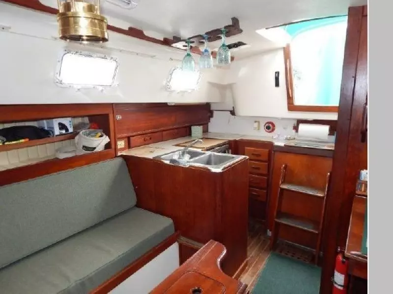 1979 Hunter Cherubini