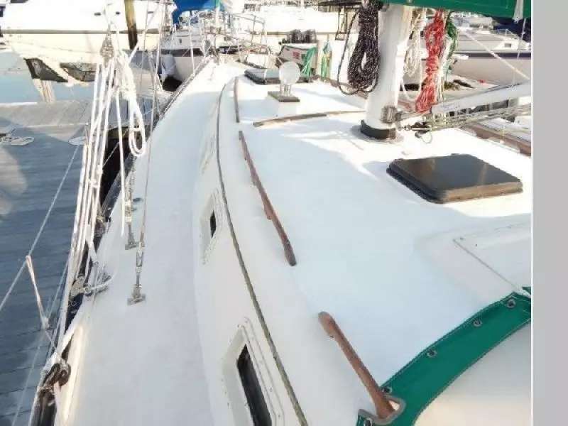 1979 Hunter Cherubini