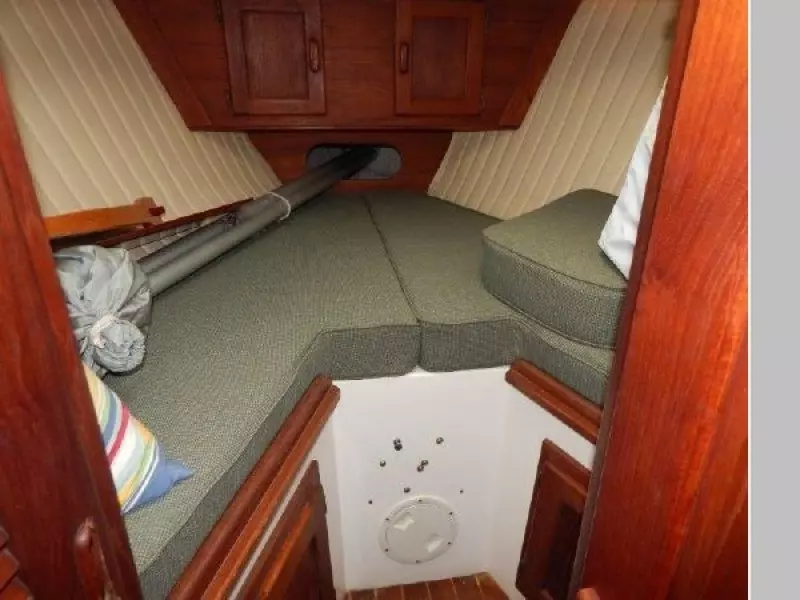 1979 Hunter Cherubini