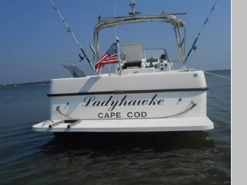 1999 Shamrock 246 Walkaround