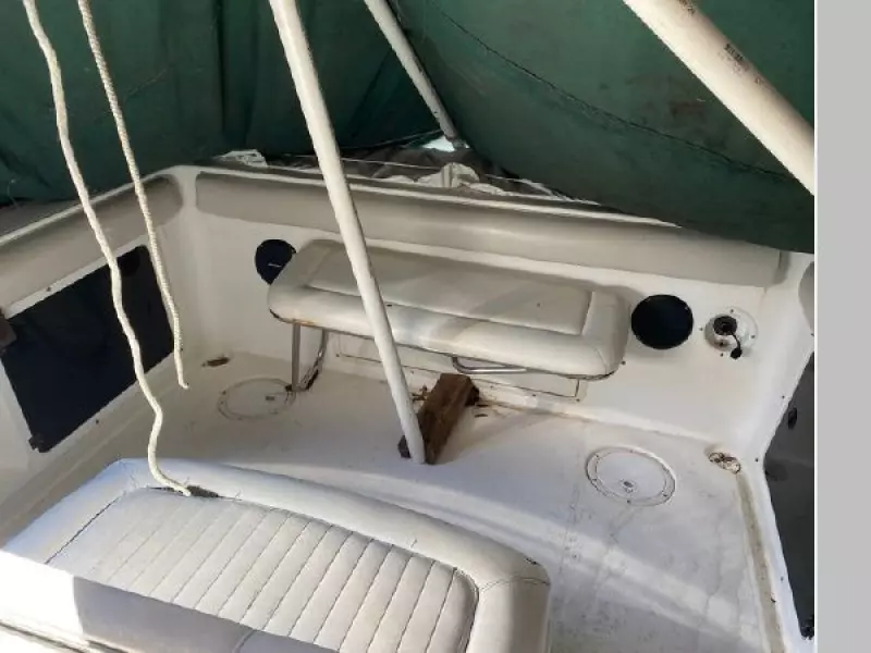 1999 Shamrock 246 Walkaround