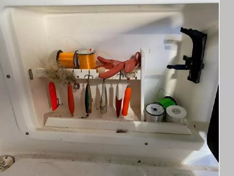 1999 Shamrock 246 Walkaround