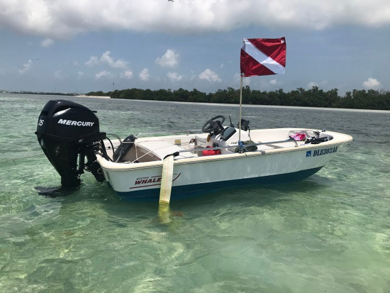55' Ocean Alexander tender2