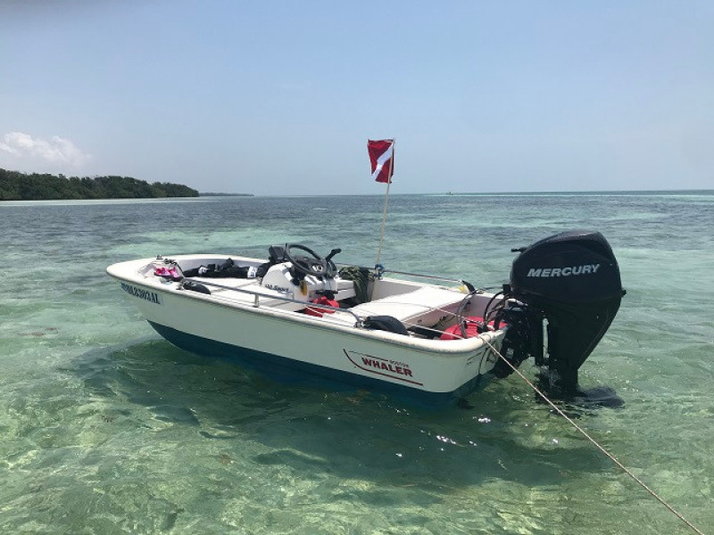 55' Ocean Alexander tender3