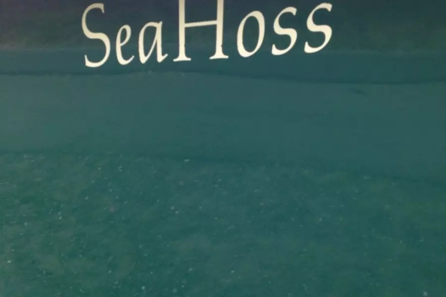 1999 Seaway 19 Center Console Skiff