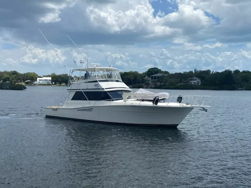 1990 Viking 