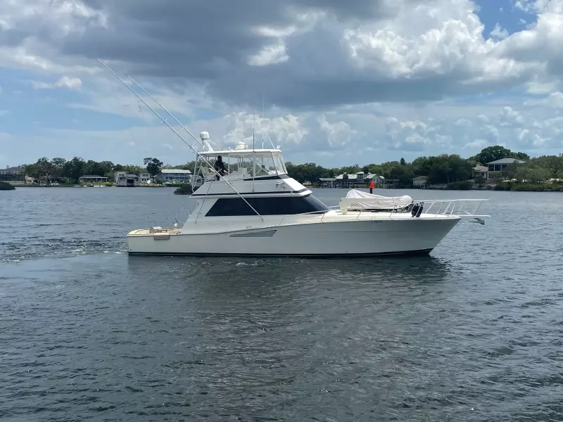 1990 Viking 