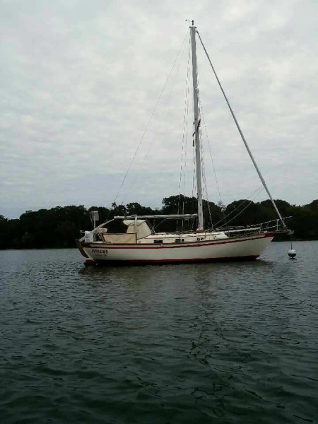 1981 Southern Cross SC31