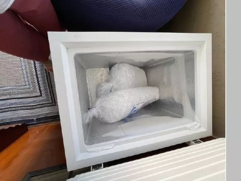 1970 Hatteras Convertible