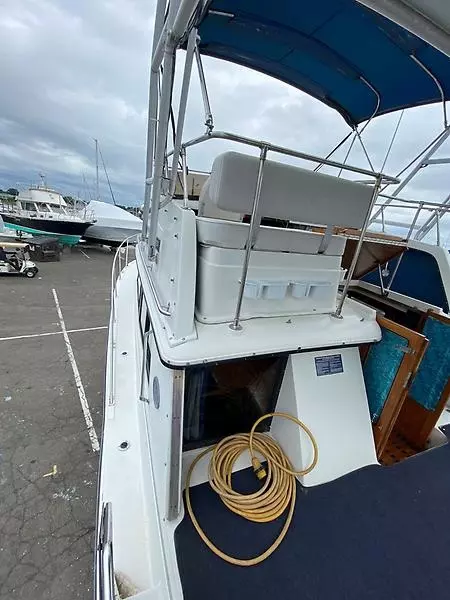 1990 Carver 3207