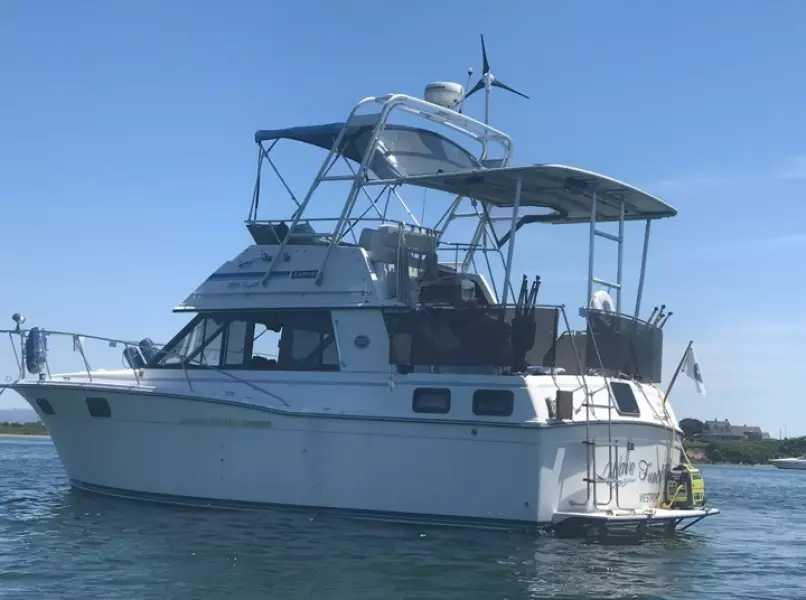 1990 Carver 3207