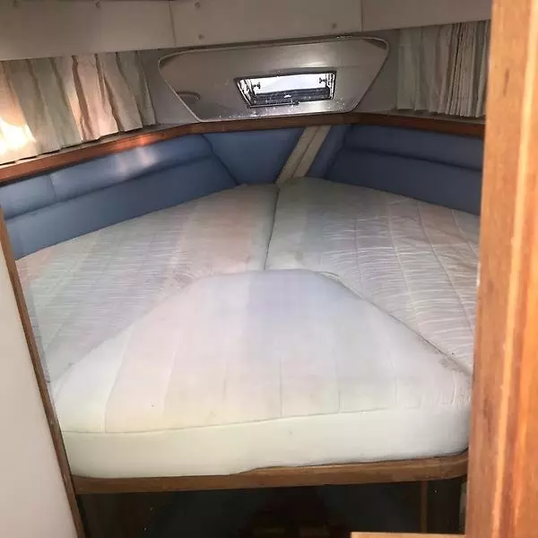 1990 Carver 3207