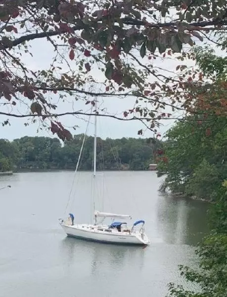 1990 Catalina 42 - 3 Cabin