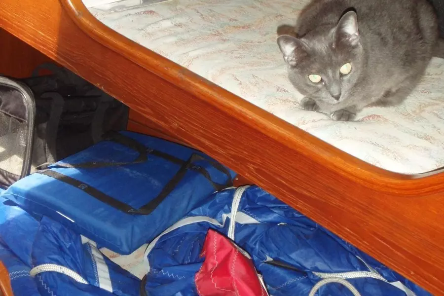 Fandango 56ft Northwind Yacht For Sale