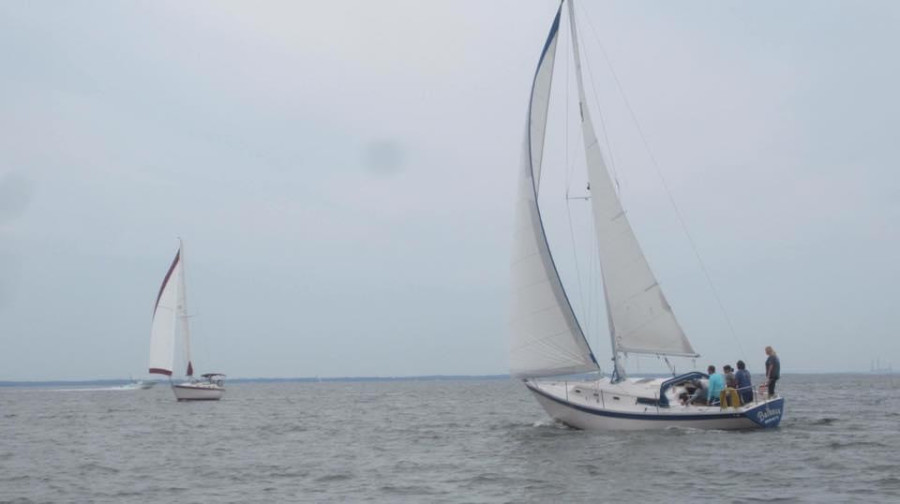 1981 Irwin Citation