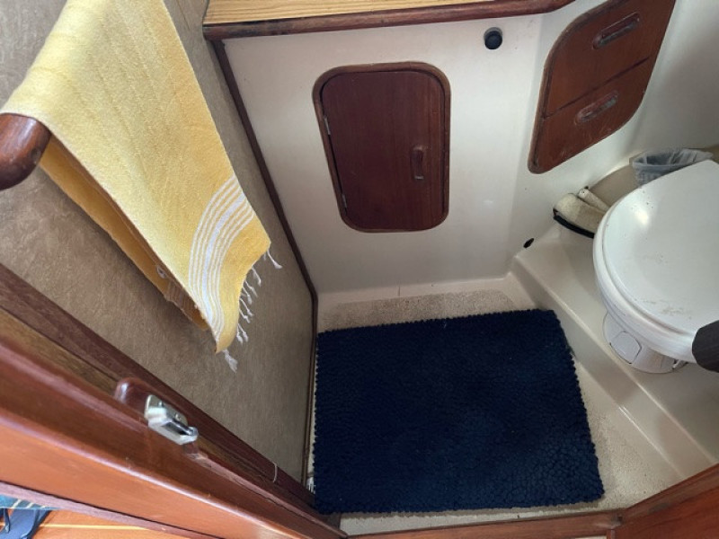 1981 Irwin Citation