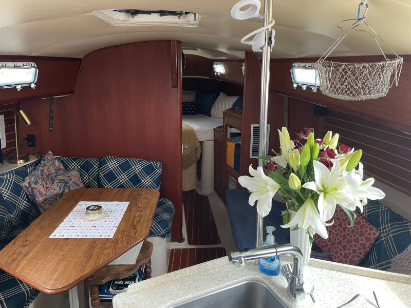 1981 Irwin Citation