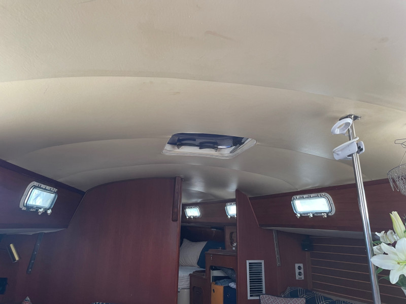 1981 Irwin Citation