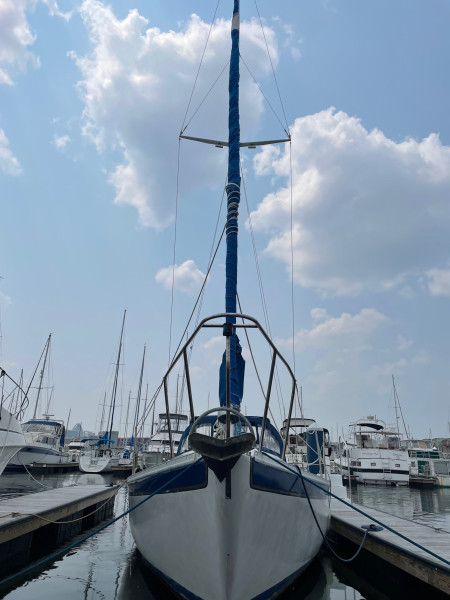 1981 Irwin Citation