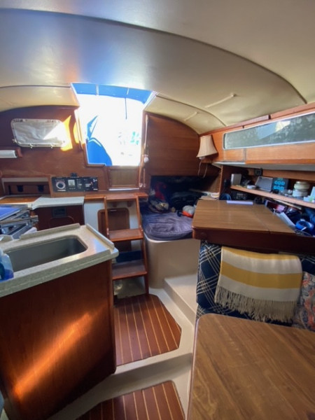 1981 Irwin Citation