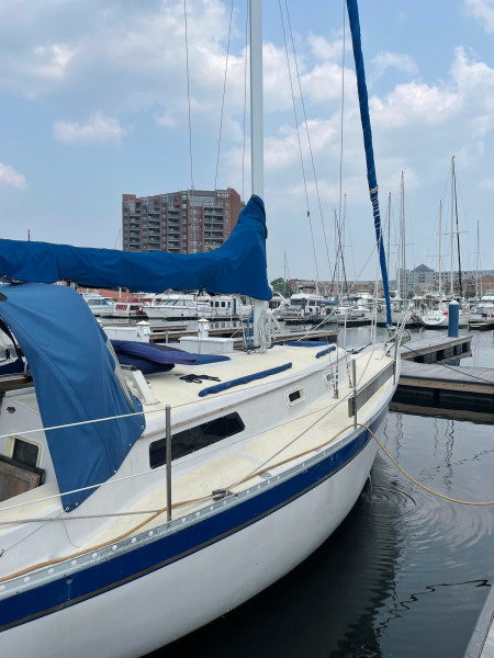 1981 Irwin Citation