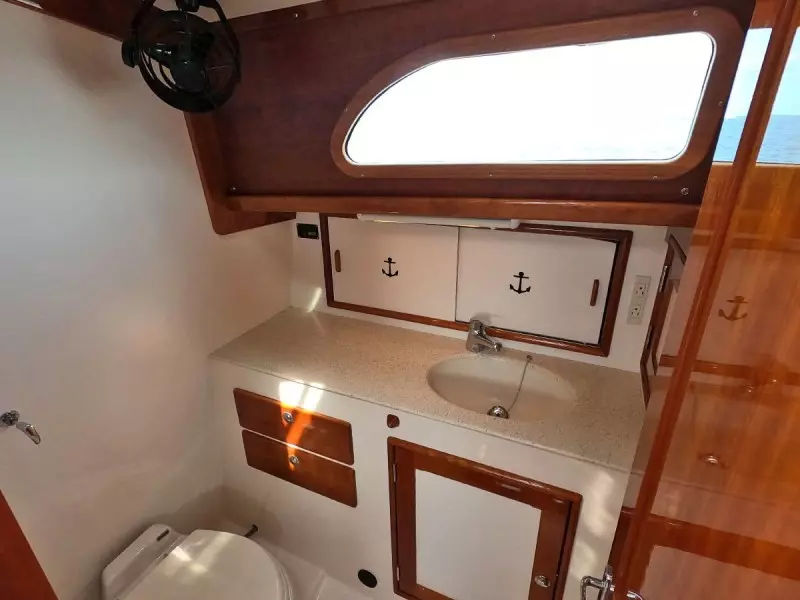 Head and Shower