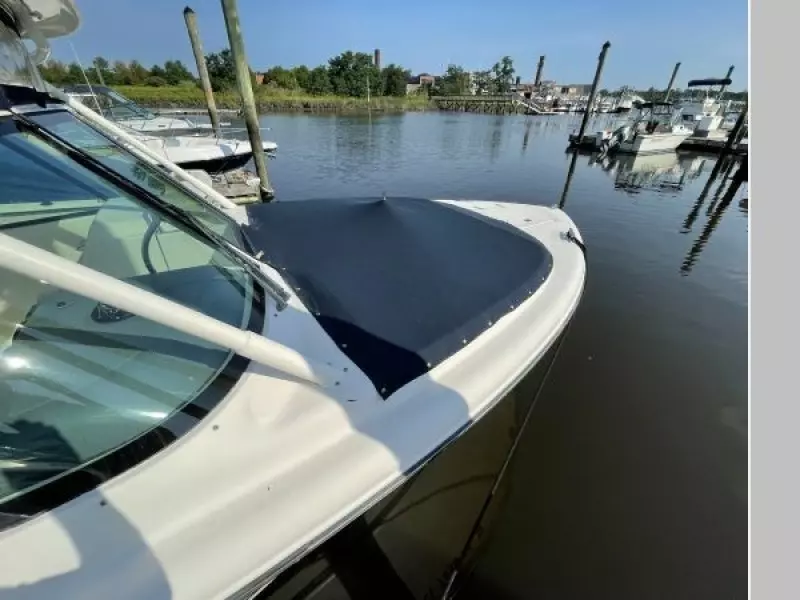 2013 Pursuit DC 265