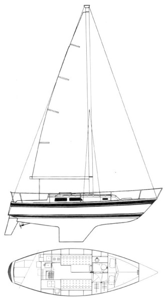 31' Cal layout