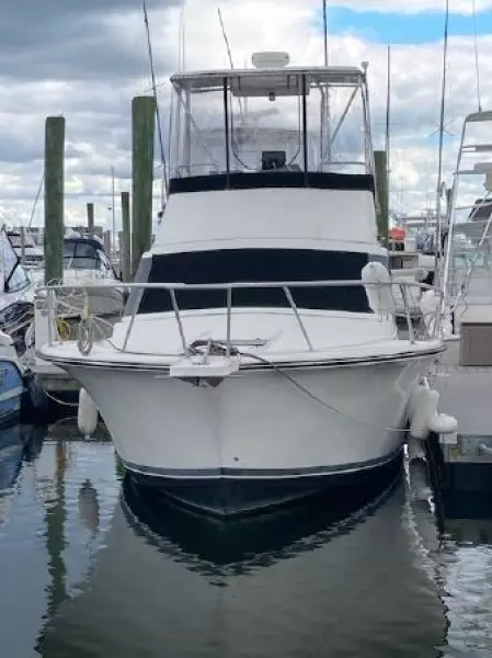 1989 Luhrs 320 Tournament