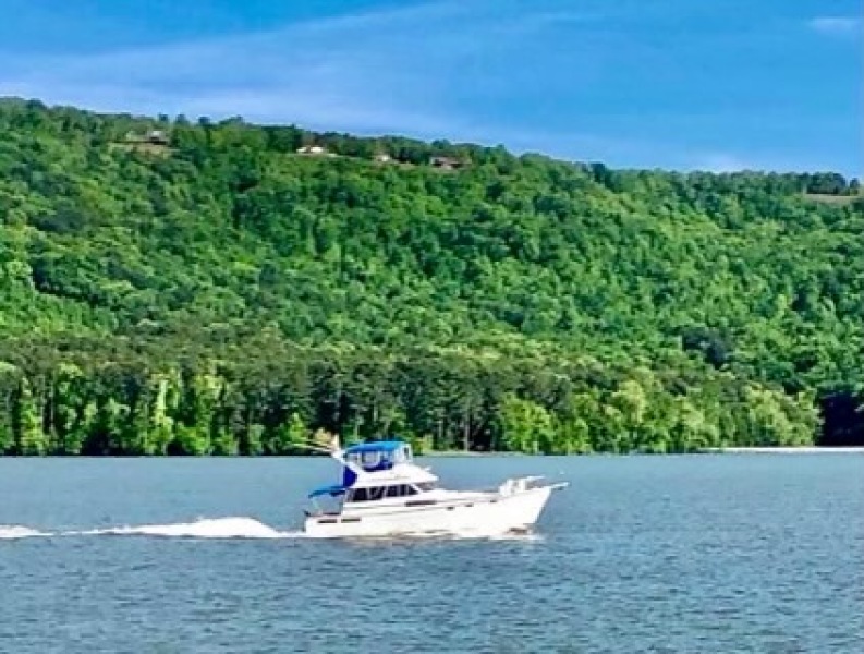 1988 Bayliner 3818