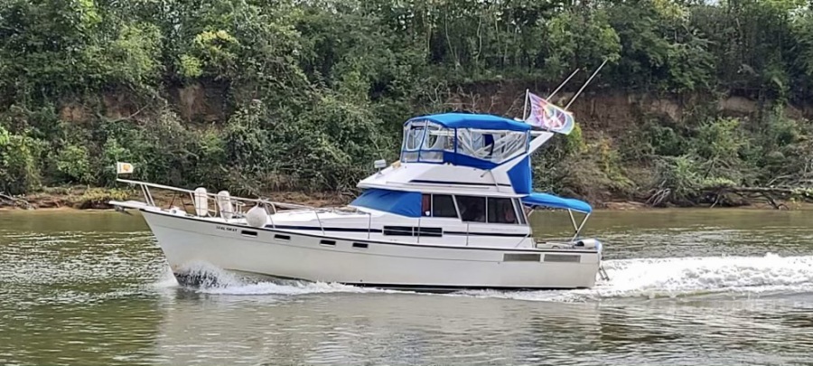 1988 Bayliner 3818