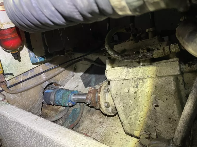 1987 Shannon Brendan Sedan