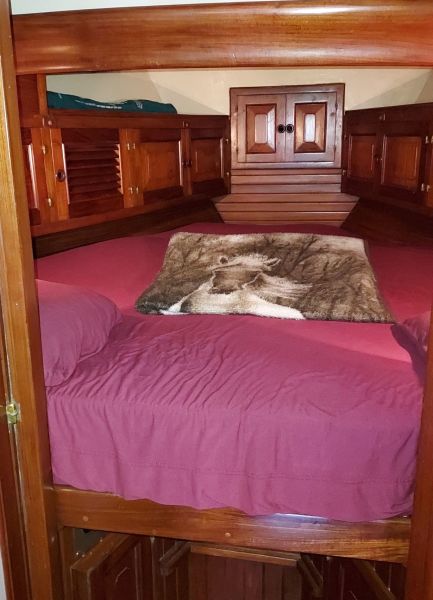 1983 Union 36