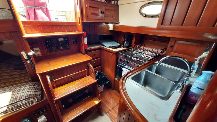 1983 Union 36