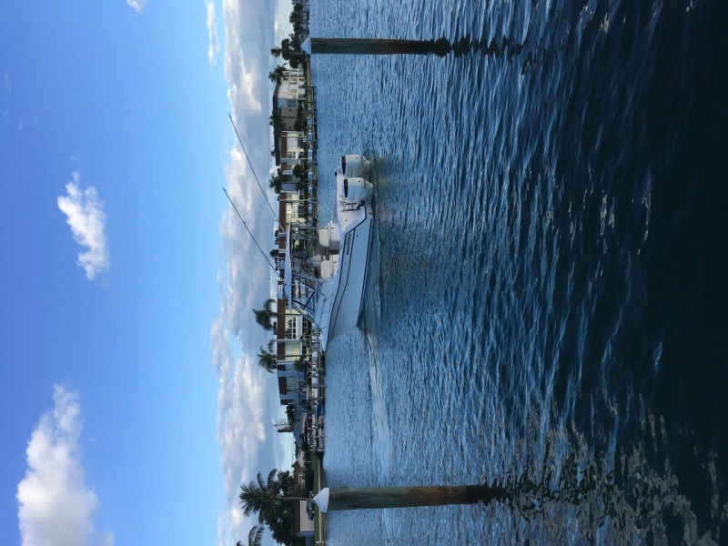 33' 2004 Grady-White 330 Express