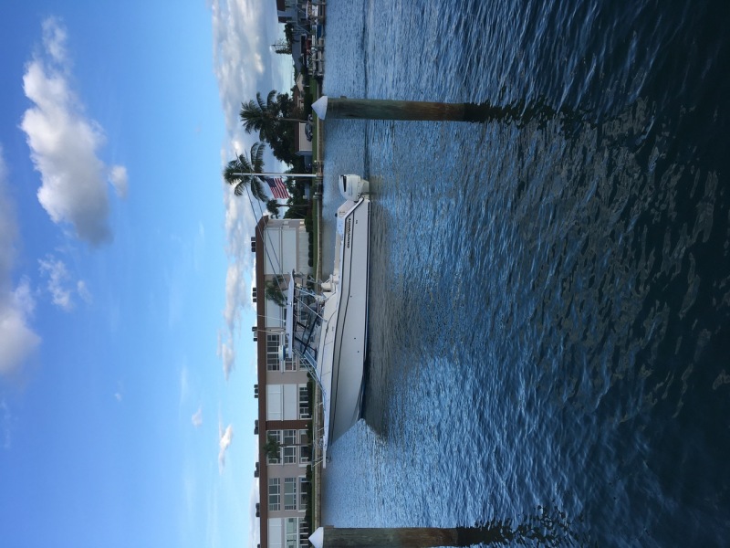 33' 2004 Grady-White 330 Express