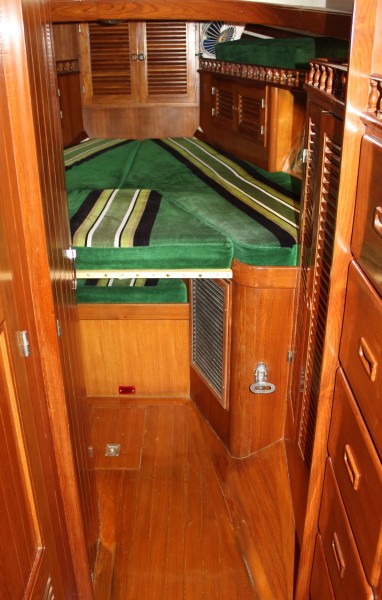 1983 Tayana