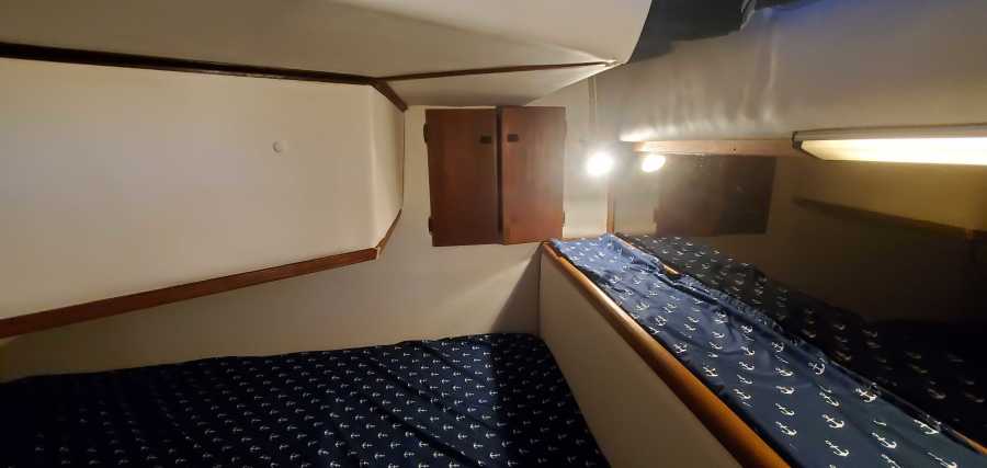 1988 Bayliner 3818